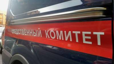 Следственные органы проверят смерть десятиклассника в Новосибирске