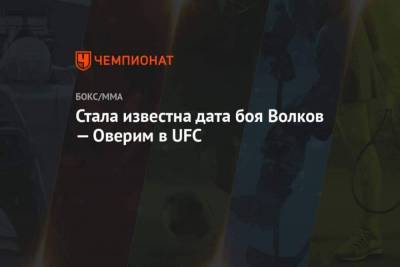 Стала известна дата боя Волков Оверим в UFC