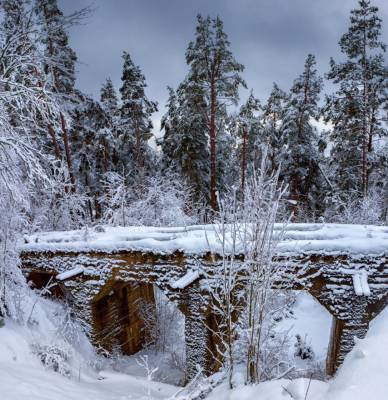 Небольшой снег, гололедица и до 15 градусов мороза ожидаются в Ленобласти 19 января