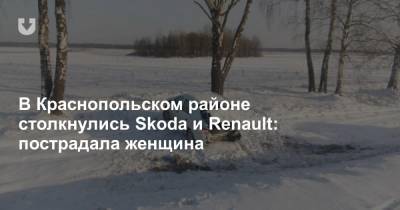 В Краснопольском районе столкнулись Skoda и Renault: пострадала женщина