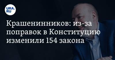 Крашенинников: из-за поправок в Конституцию изменили 154 закона