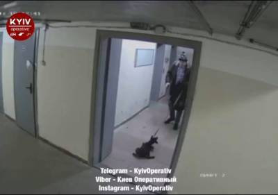 Показано видео, как в Киеве мужчина избил домашнего щенка