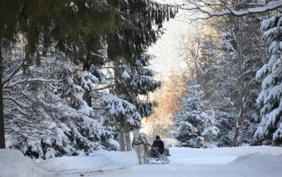"Нарния" в Украине: самые красивые фото природных чудес зимой
