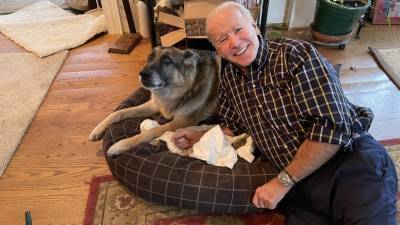 Внучка Байдена опубликовала фото первой собаки США перед «индогурацией»