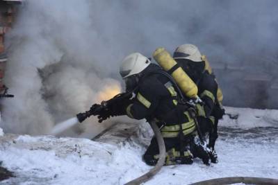 В МВД доложили о пожарной обстановке в Украине