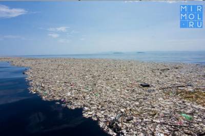 Тема Всемирного дня прав потребителей 2021 года – решение проблемы загрязнения пластиком