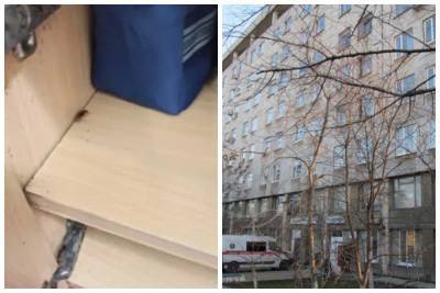 "В грязных палатах поселились тараканы": крымчаку возмутили условия в местной больнице, фото беспредела