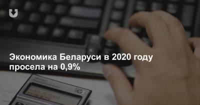 Экономика Беларуси в 2020 году просела на 0,9%