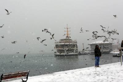Отмена рейсов, ДТП и заснеженные дороги: Стамбул накрыл сильный снегопад (видео)
