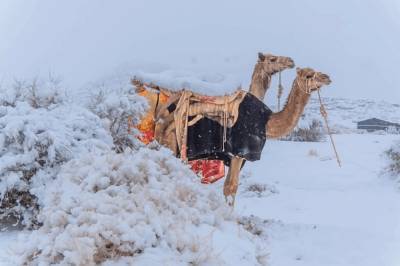 Сахару в средине января засыпало снегом: впечатляющие снимки природы