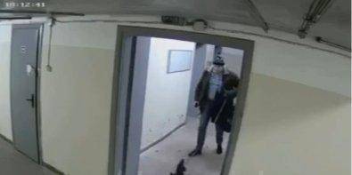 Начато уголовное производство. В Киеве мужчина избил собаку, а потом выбросил ее на улицу — видео