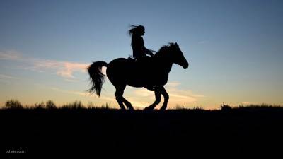 Названа средняя стоимость прогулки на лошади в Петербурге
