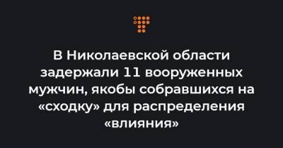 В Николаевской области задержали 11 вооруженных мужчин, якобы собравшихся на «сходку» для распределения «влияния»