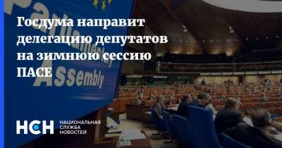 Госдума направит делегацию депутатов на зимнюю сессию ПАСЕ