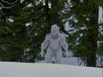 Жителей Канады напугало существо, похожее на снежного человека
