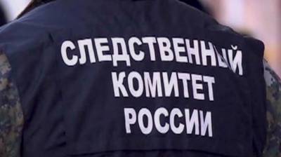 СК проверяет сообщения о насилии над воспитанниками новосибирского интерната