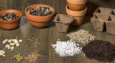 Применение перлита и вермикулита для улучшения качества грунта для посева семян на рассаду и пересадки комнатных растений