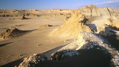 Ученые выяснили происхождение найденного в пустыне Чили «инопланетянина»