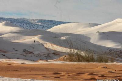 Пустыню Сахару неожиданно засыпало снегом. Фото