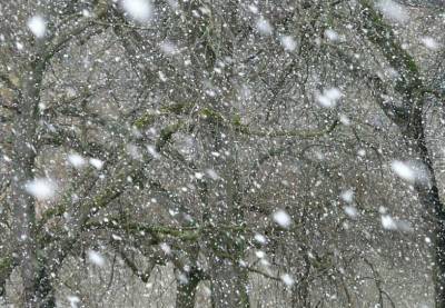 На Дону больше всего снега за сутки выпало в Зернограде