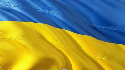 Украинский журналист рассказал, как элита Незалежной пила свиную кровь