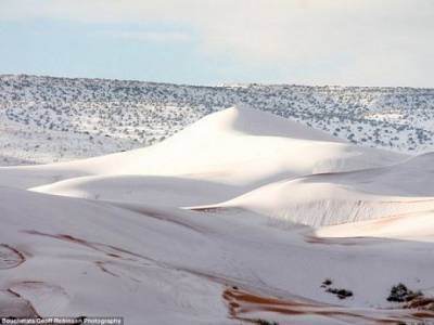 «И такое бывает»: в Сахаре выпал снег (ФОТО)