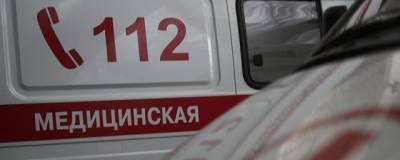 В Астраханской области дети пострадали от нападения бродячих псов