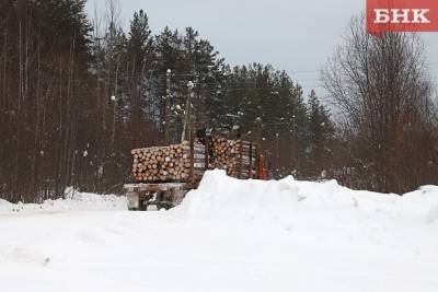 Глава Коми назвал способы сохранения дорог во время вывоза леса