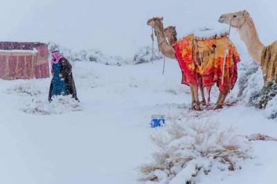 Пустыню Сахару и Саудовскую Аравию засыпало снегом (ФОТО)