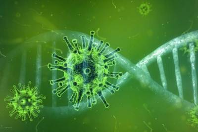 Германия: Более 20 инфицированных во Фленсбурге, вероятно, заразились мутировавшим коронавирусом