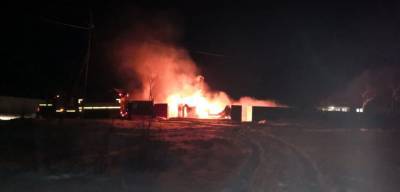 10 кур погибли во время пожара в Поронайске
