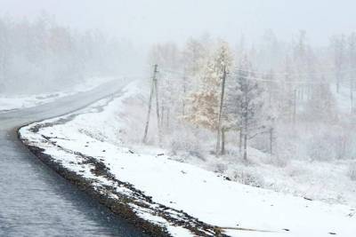Баня, лес и свежий воздух на зимнем отдыхе – база «Спутник» продолжила продажу путёвок