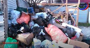 Махачкалинцы заявили об обоюдной вине регоператора и чиновников в мусорном коллапсе