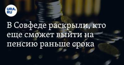 В Совфеде раскрыли, кто еще сможет выйти на пенсию раньше срока