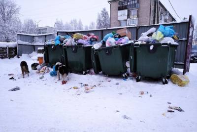 В столице Поморья продолжаются перебои с вывозом мусора