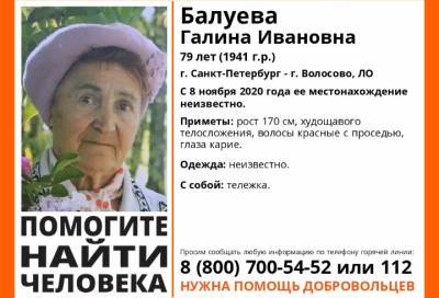 В Ленобласти более двух месяцев ищут 79-летнюю пенсионерку