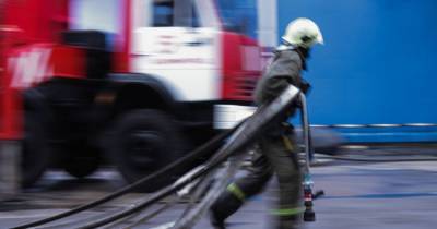 Калининградские пожарные четырежды за сутки выезжали на тушение возгораний сажи в дымоходах - klops.ru - Черняховск - Правдинск - Полесск