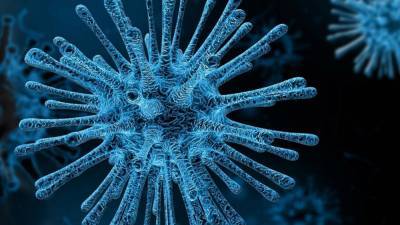 В Китае выявили новый всплеск заражений коронавирусом