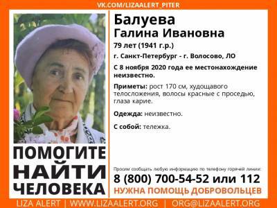 В Ленобласти более двух месяцев ищут без вести пропавшую 79-летнюю пенсионерку