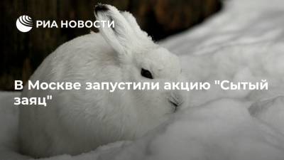 В Москве запустили акцию "Сытый заяц"
