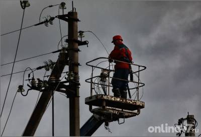 В «Ленэнерго» прокомментировали проблемы с электричеством в Верхних Осельках