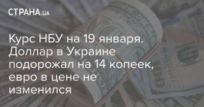 Курс НБУ на 19 января. Доллар в Украине подорожал на 14 копеек, евро в цене не изменился