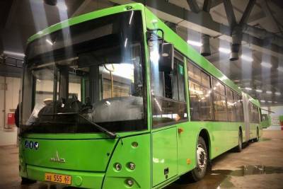 11 новых автобусов вышло на линию в Пскове накануне Крещения