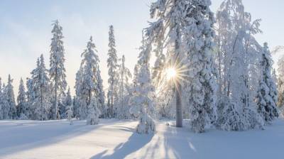 Аномальные морозы в Якутии достигли −60 градусов