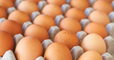 One of the main reasons for the rise in prices for eggs is the pressure of NABU on one of the major producers