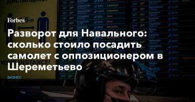 Разворот для Навального: cколько стоило посадить самолет с оппозиционером в Шереметьево