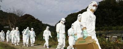 Японские власти назвали рекордной зимнюю вспышку птичьего гриппа в стране