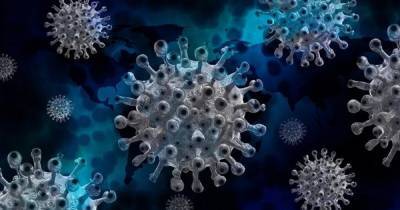 Тревожный сигнал. Калифорнийская мутация коронавируса изменила важную часть SARS-CoV-2