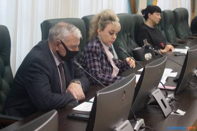 Сахалинские депутаты в новом году ведут себя как в старом