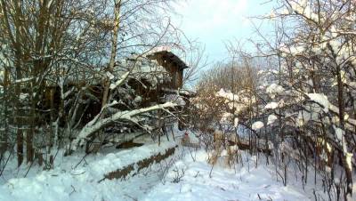 В Тверской области жители решили помочь оставшейся в мороз без дров пенсионерке
